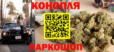 дурь Гай