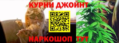 ПСИЛОЦИБИНОВЫЕ ГРИБЫ Аргун