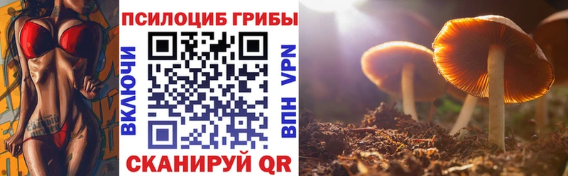 Псилоцибиновые грибы Magic Shrooms где продают Алейск