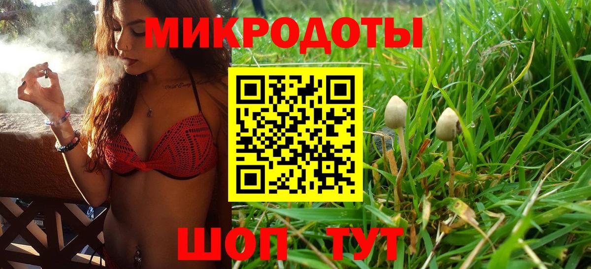 Галлюциногенные грибы мицелий  Псилоцибиновые грибы Psilocybe  Вход с VPN  Алейск 