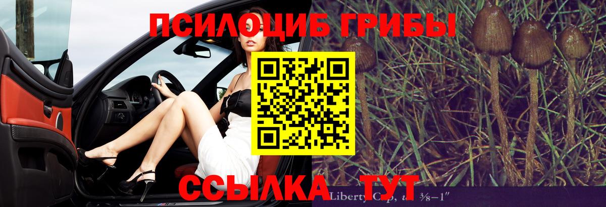 Алейск  Галлюциногенные грибы Cubensis  Вход с VPN 