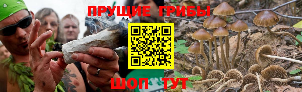 Галлюциногенные грибы GOLDEN TEACHER Алейск